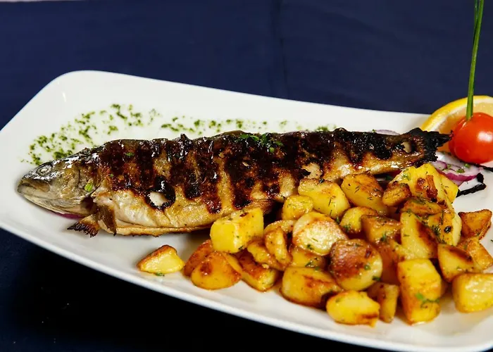 Terra 리조트 반스코